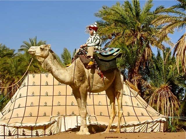 Hotel Dar Sidi Bounou M'Hamid El Ghizlane Exterior foto